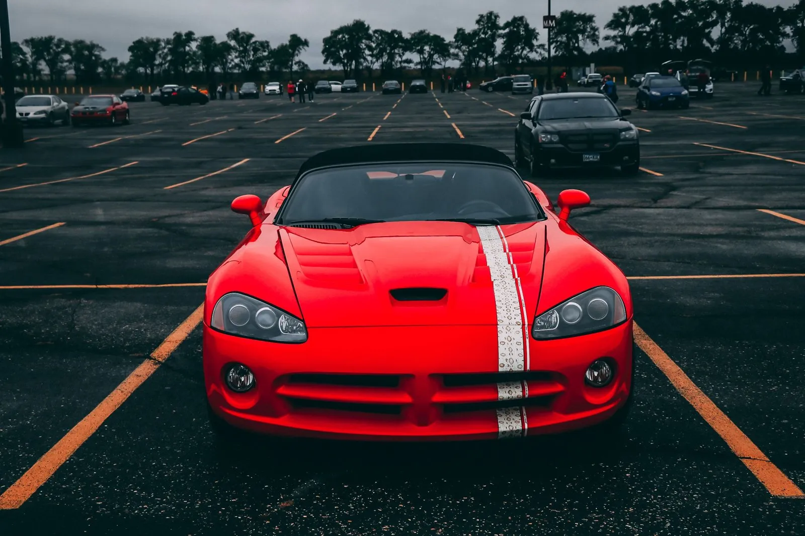 Ferrari Purosangue : guide, prix et positionnement